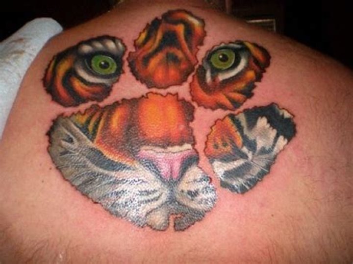 clemson-tigers-2