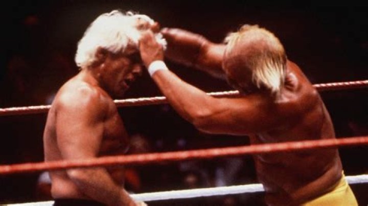 Hulk Hogan Fired Tough Enough