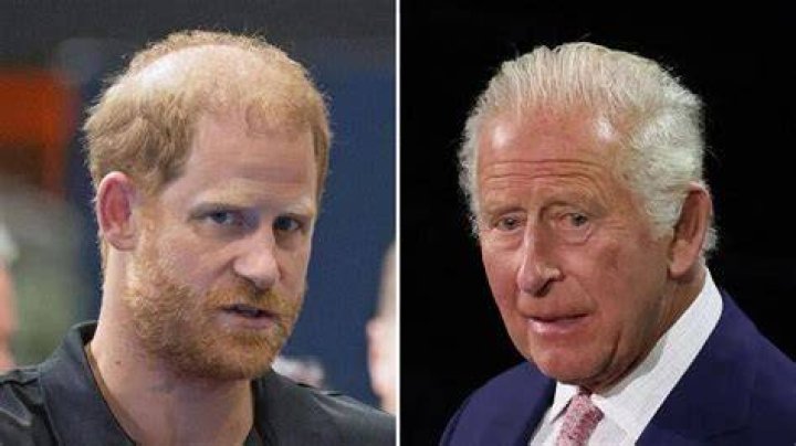 Prince Harry and King Charles