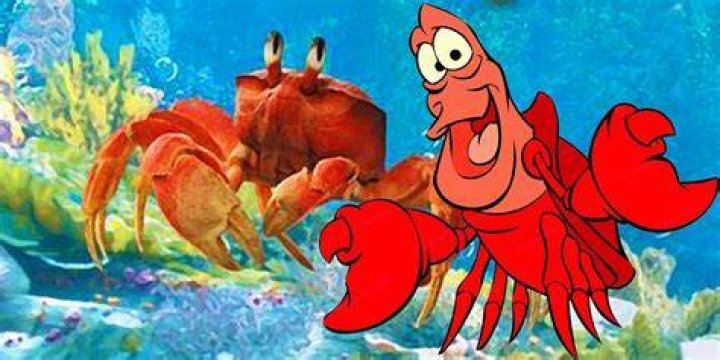Sebastian Sebastian