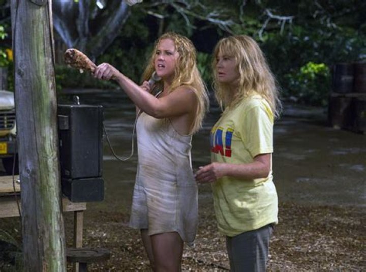 Snatched &ndash; 2017