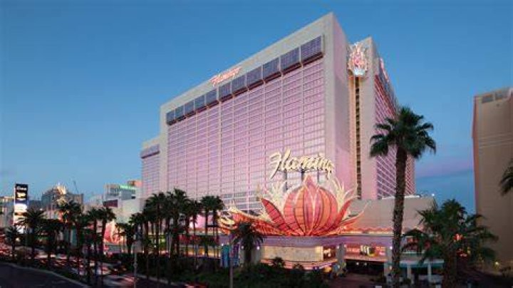 The Flamingo
