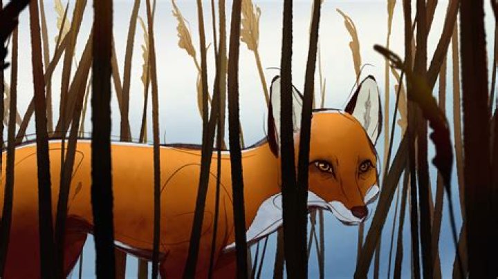 The Fox