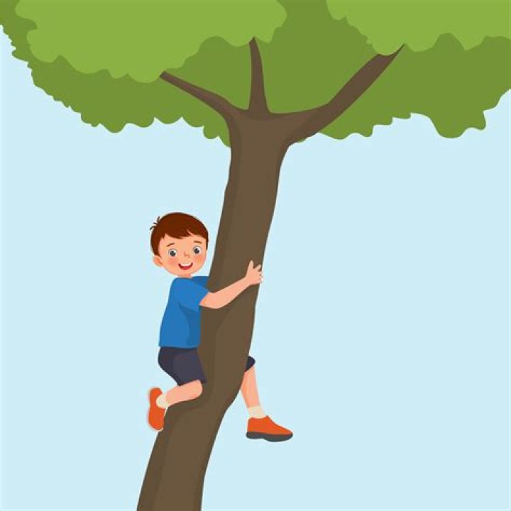 The Tree