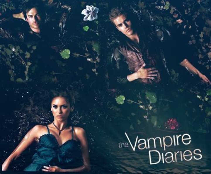 vampire-diaires